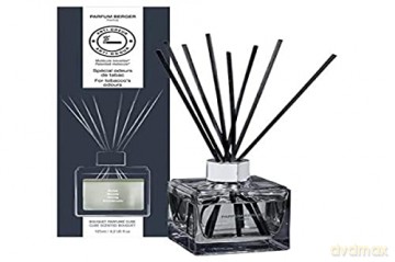 Maison Berger Paris Cube diffuser Woody (Anti-odour Tobacco) 125 ml