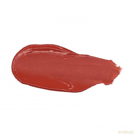 Nudestix MAGNETIC PLUSH PAINTS - Shade: Sweet Sangria