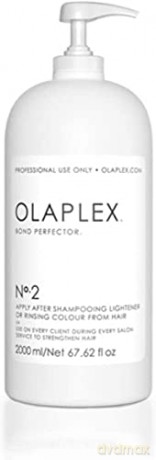 Olaplex Professional care to damage the hair after dyeing (Bond Perfector No.2) 2000 ml