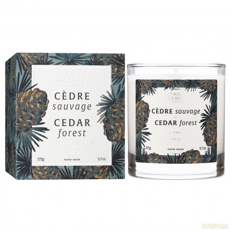 Panier des Sens Scented candle Home Cedar Forest (Scented Candle) 275 g
