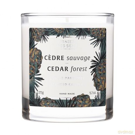 Panier des Sens Scented candle Home Cedar Forest (Scented Candle) 275 g