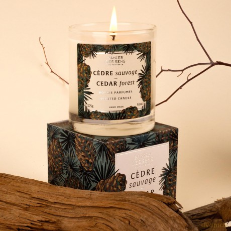 Panier des Sens Scented candle Home Cedar Forest (Scented Candle) 275 g