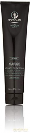 Paul Mitchell Hair cream to accelerate natural drying Awapuhi Wild Ginger (No Blowout HydroCream) 150 ml