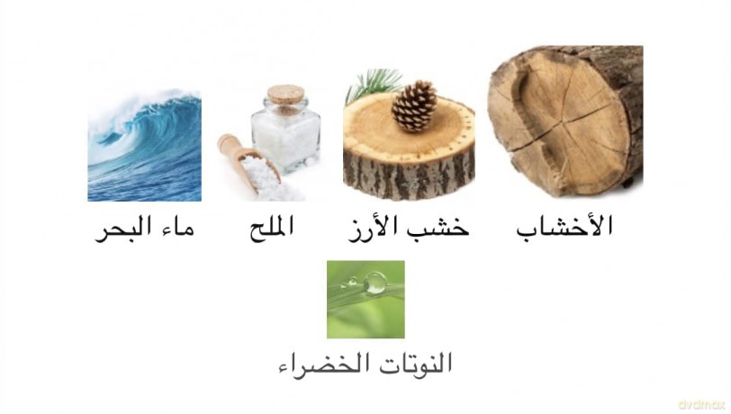 XerJoff 40 Knots - woda perfumowana - Volume: 100 ml
