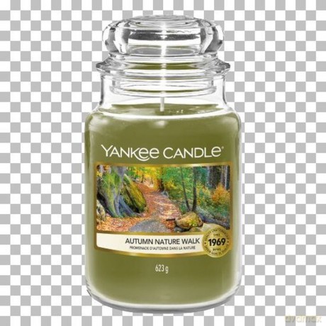 Yankee Candle Aromatic candle Classic large Autumn Nature Walk 623 g