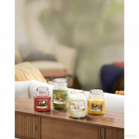 Yankee Candle Aromatic candle Classic medium Gold en Autumn 411 g