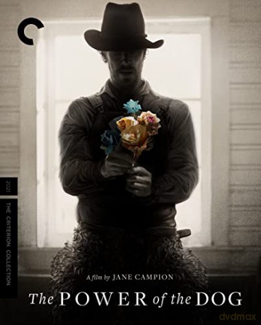 The Power Of The Dog (2021) (Psie pazury) [Blu-Ray]