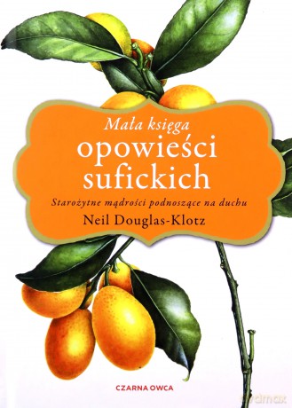 Mała księga opowieści sufickich - Neil Douglas-Klotz [KSIĄŻKA]