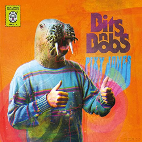 Pixy Jones: Bits N Bobs [Winyl]