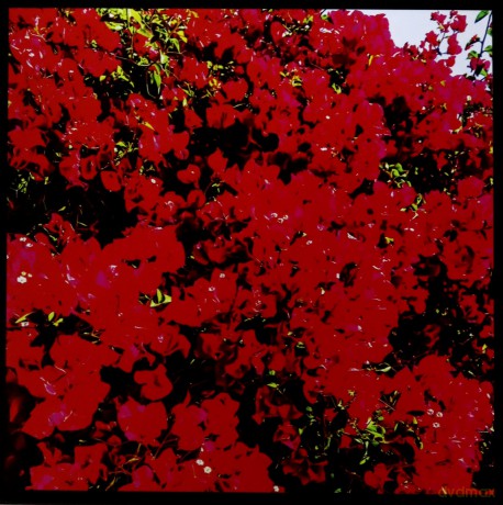 Brant Bjork: Bougainvillea Suite [Winyl]