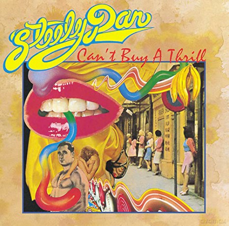 Steely Dan: Cant Buy A Thrill [Winyl]