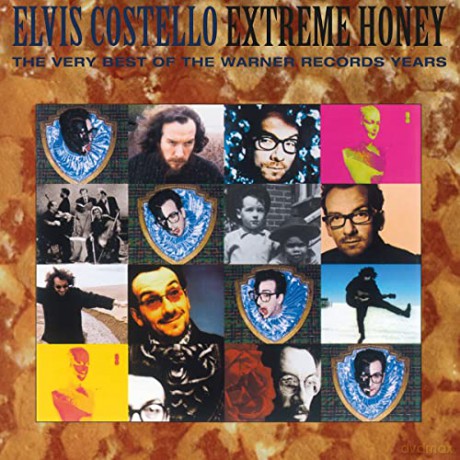 Elvis Costello: Extreme Honey (Very Best Of Warner Years) (Coloured) [2xWinyl]