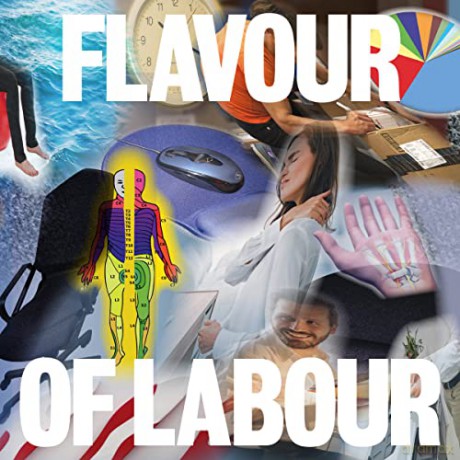 Public Body: Flavour Of Labour [Winyl]