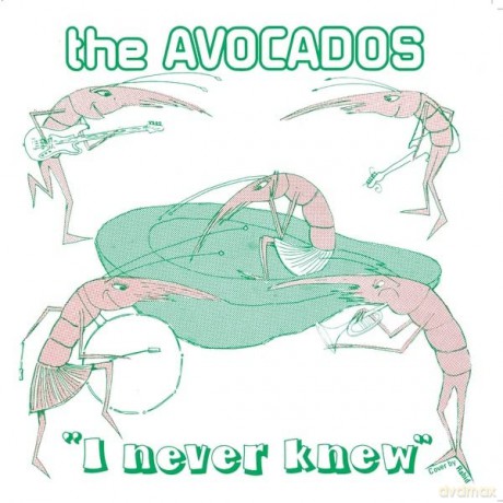 Avocados: I Never Knew [Winyl]