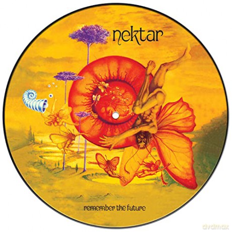 Nektar: Remember The Future (Picture) [Winyl]