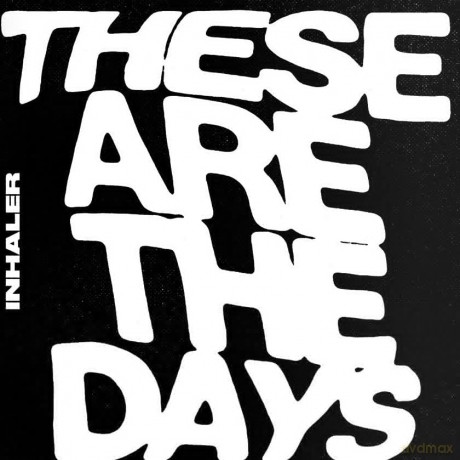 Inhaler: These Are The Days [Winyl]