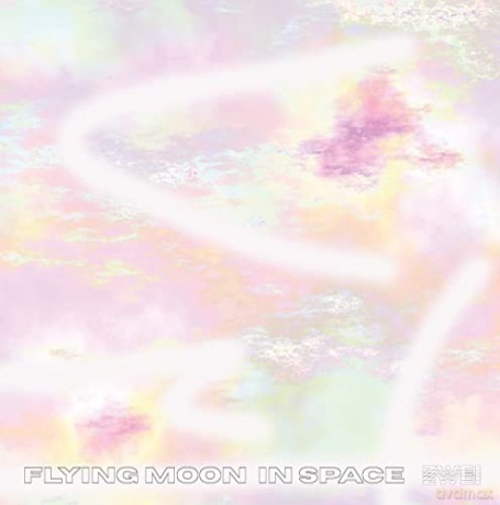 Flying Moon In Space: Zwei [Winyl]