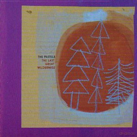 The Pastels: The Last Great Wilderness [Winyl]