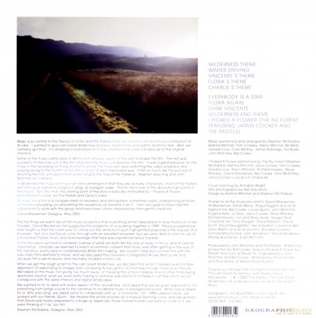 The Pastels: The Last Great Wilderness [Winyl]