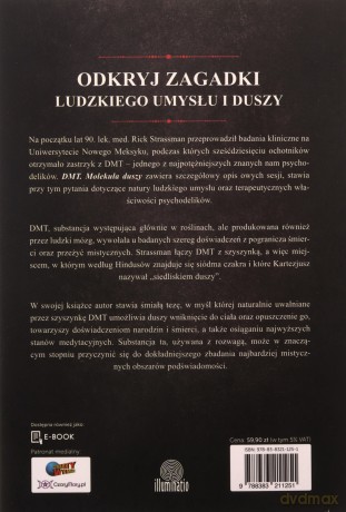 DMT. Molekuła duszy. Rewolucyjne badania w dziedzinie biologii doświadczeń mistycznych i z pogranicza śmierci - Rick Strassman [KSIĄŻKA]