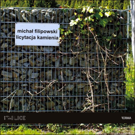 Licytacja kamienia - Michał Filipowski [KSIĄŻKA]