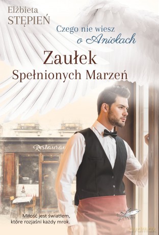 Zaułek Spełnionych Marzeń Czego nie wiesz o Aniołach - Elżbieta Stępień [KSIĄŻKA]