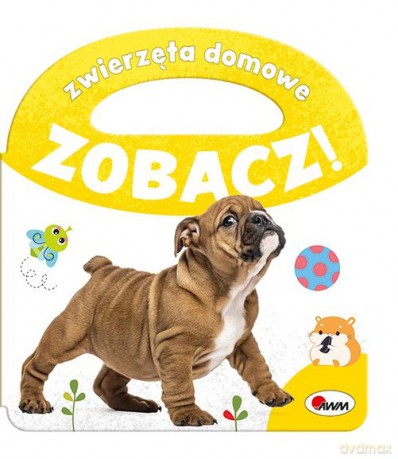 Zwierzęta domowe. Zobacz! [KSIĄŻKA]
