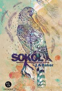 Sokół. Opowieść o miłości do ginącej przyrody - Alec Baker John [KSIĄŻKA]