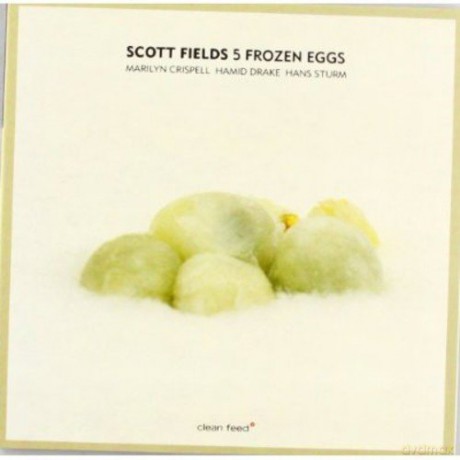 Scott Fields: 5 Frozen Eggs [CD]