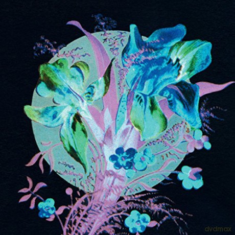 Karjalainen, Hannu: A Handful Of Dust Is A Desert [CD]