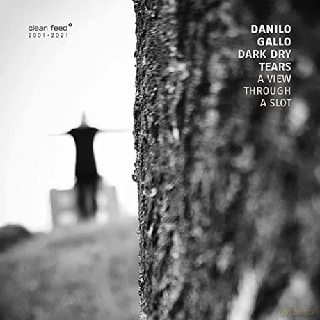 Danilo Gallo Dark Dry T: A View Through A Slot [CD]