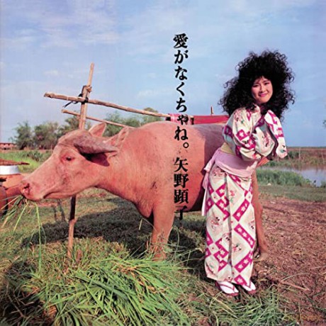 Akiko Yano: Ai Ga Nakucha Ne [CD]
