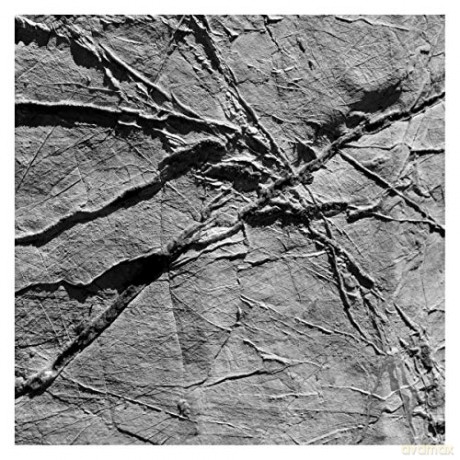 Agf/Various: Arachnesound [CD]