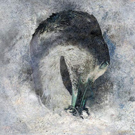 Ashes: Ashes [CD]