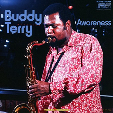 Buddy Terry: Awareness [CD]