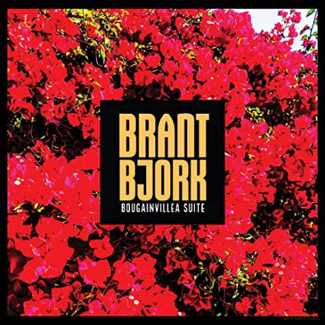 Brant Bjork: Bougainvillea Suite [CD]