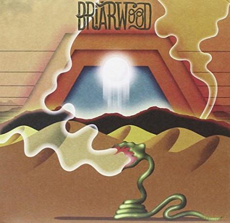 Wooden Wand: Briarwood [CD]