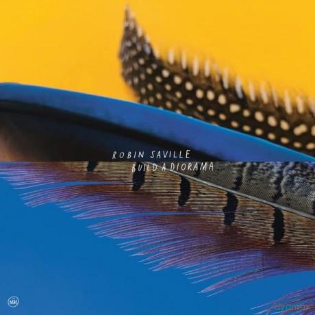Robin Saville: Build A Diorama [CD]