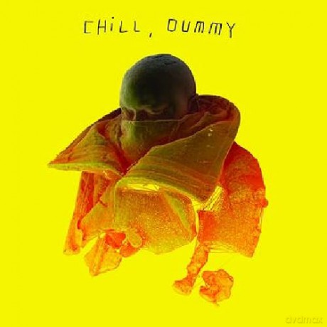 P.O.S.: Chill, Dummy [CD]