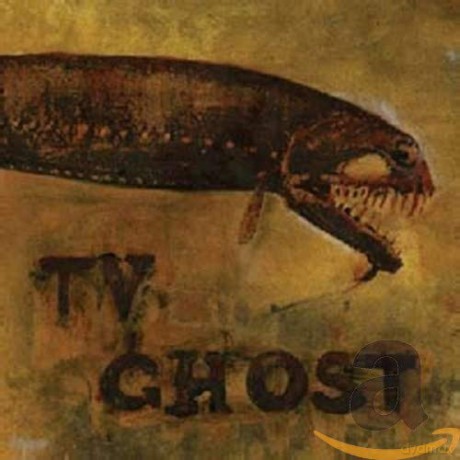 Tv Ghost: Cold Fish [CD]
