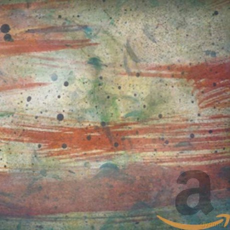 Multicast Dynamics: Continental Ruins [CD]