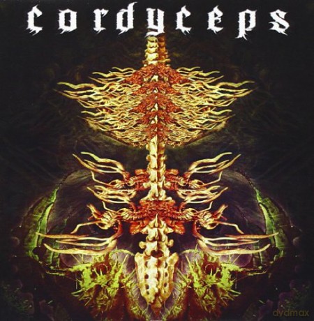 Cordyceps: Cordyceps [CD]
