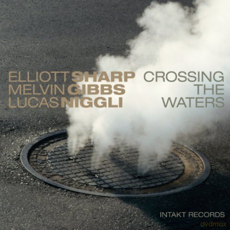 Elliott Sharp: Crossing The Waters [CD]