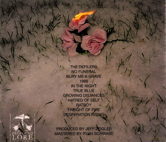 Executioner'S Mask: Despair Anthems [CD]