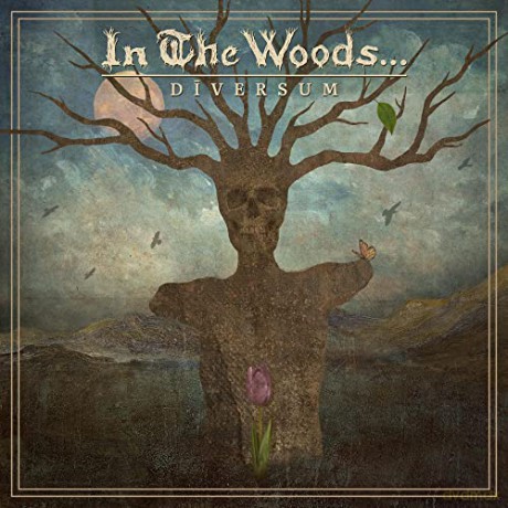 In The Woods...: Diversum [CD]