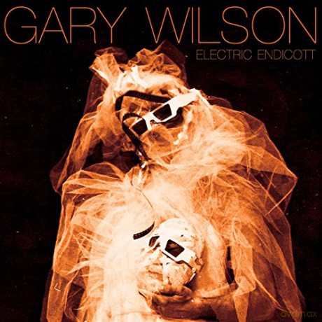 Gary Wilson: Electric Endicott [CD]