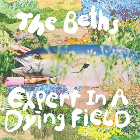 Beths The: Expert In A Dying Field [CD]