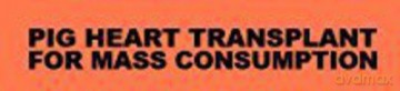 Pig Heart Transplant: For Mass Consumption [CD]