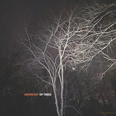 Reid/Kitamura/Ho Bynum/: Geometry Of Trees [CD]