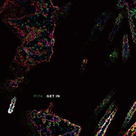 Pita: Get In [CD]